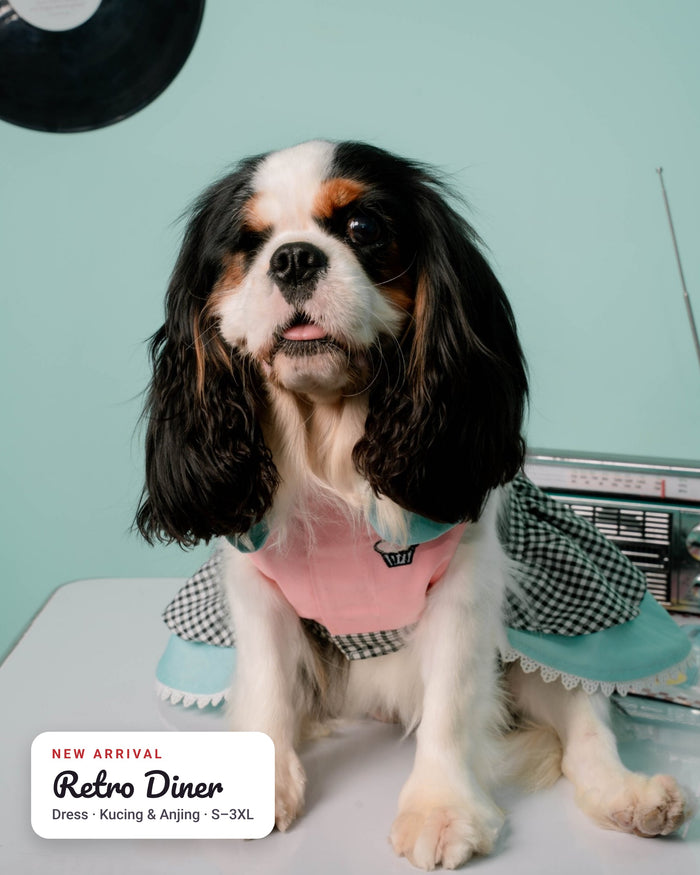 Dress Retro Diner 50s Anjing & Kucing