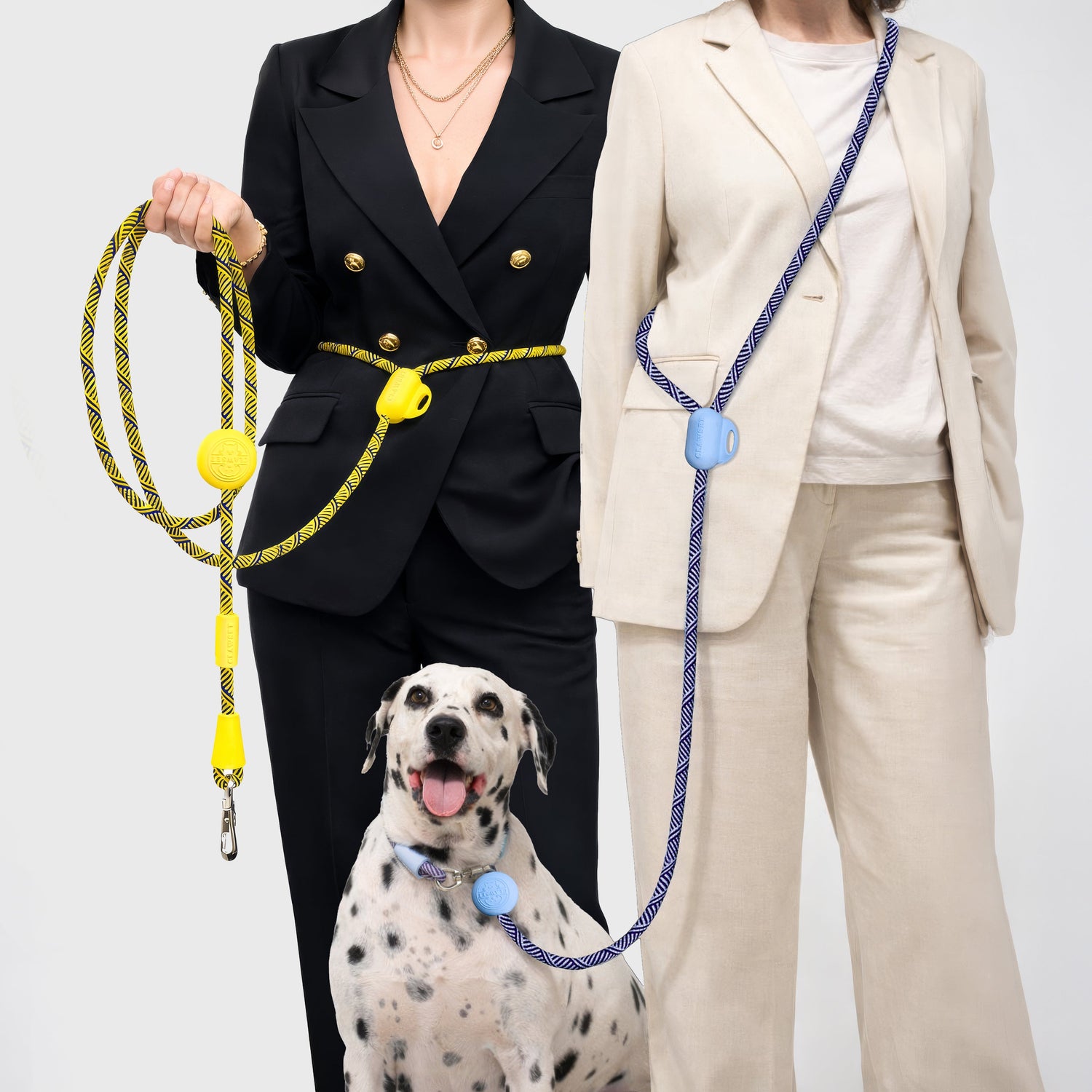 All in One Leash