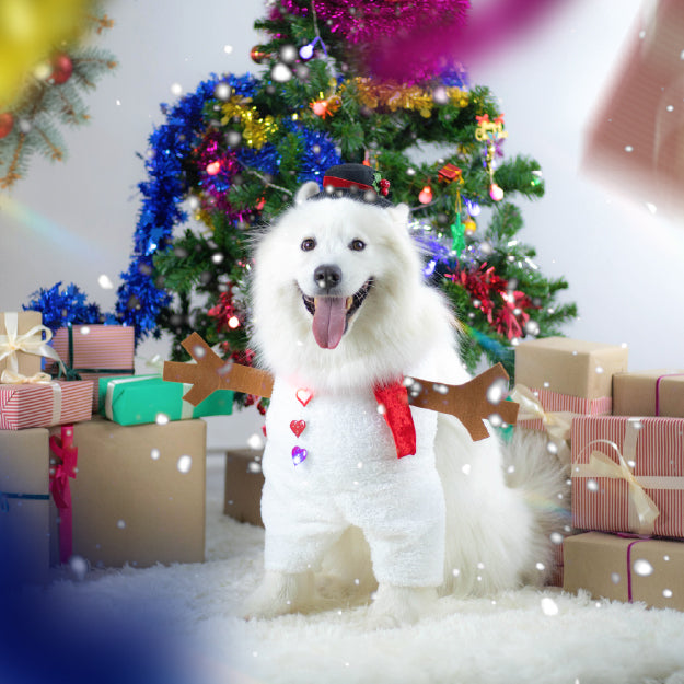 Christmas Collection