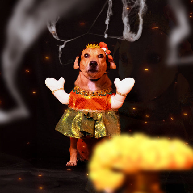 Halloween Collection