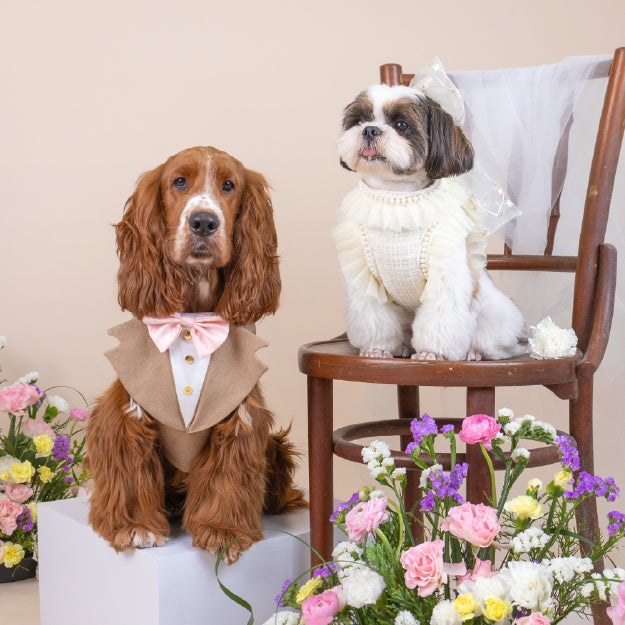 Bride & Groom Collection