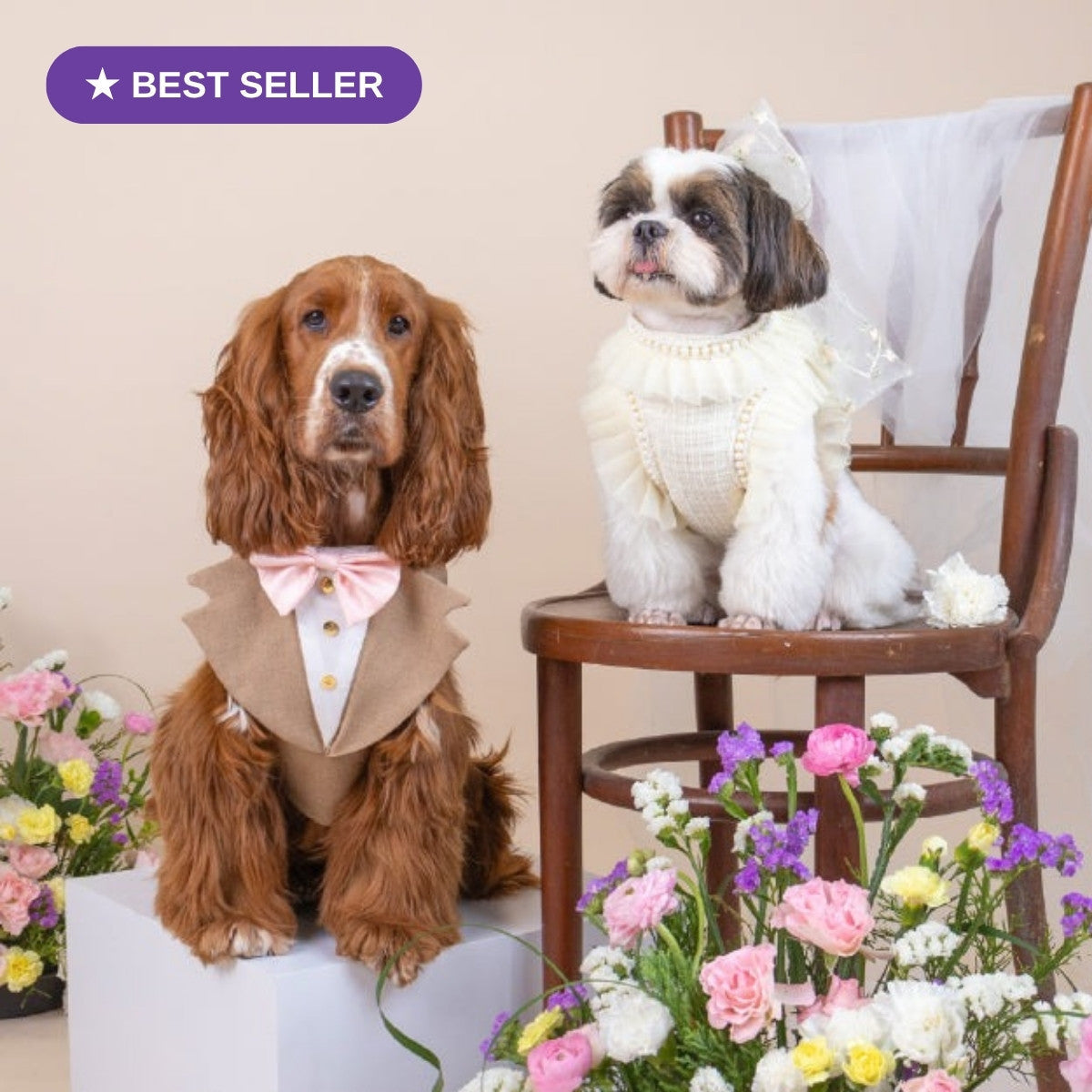 Stylish Harness Collection - harness pengantin anjing & kucing