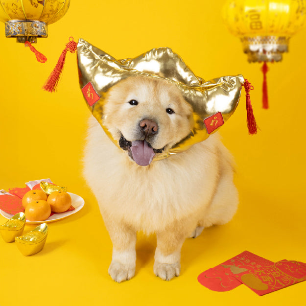 Chinese New Year Collection