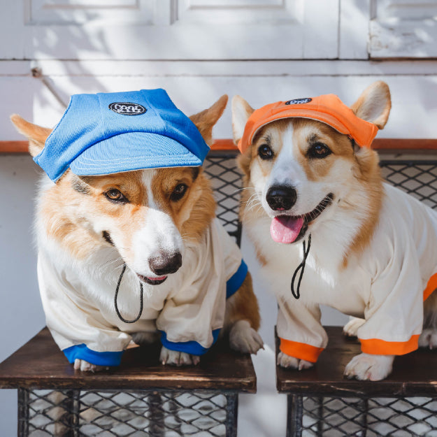 Cool Kid Hat Collection