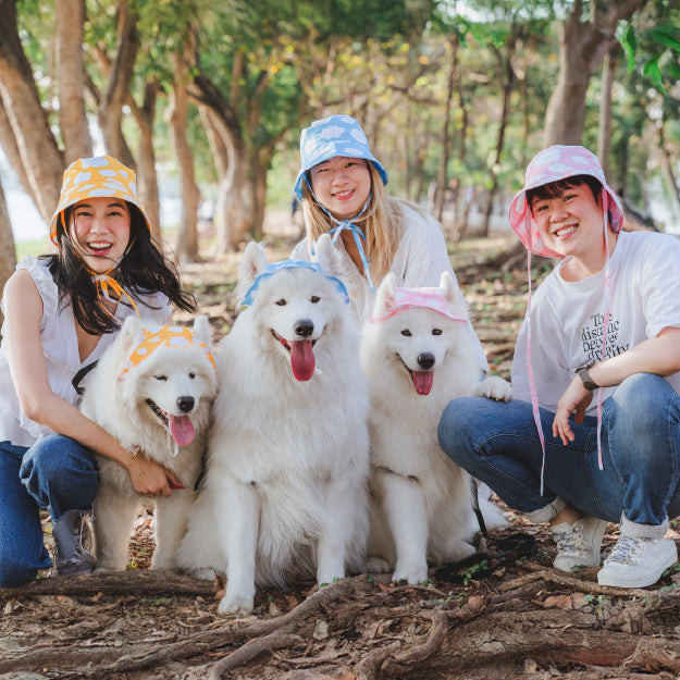Sky & Cloud Collection