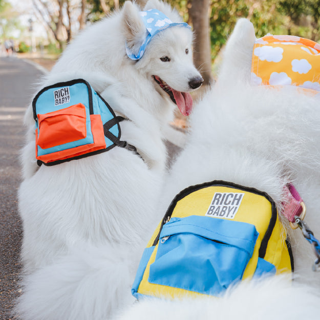 Richy Bag Collection