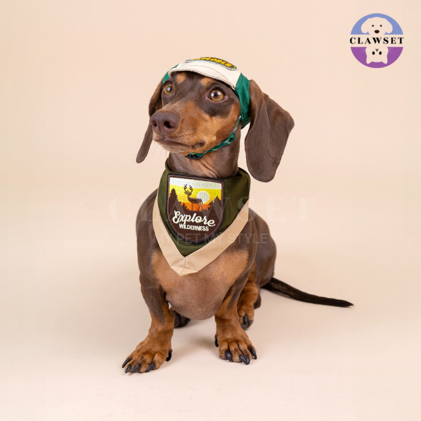 Clawset - Pet Hat - Scout Collection (Topi Hewan Peliharaan) - Explorer Green