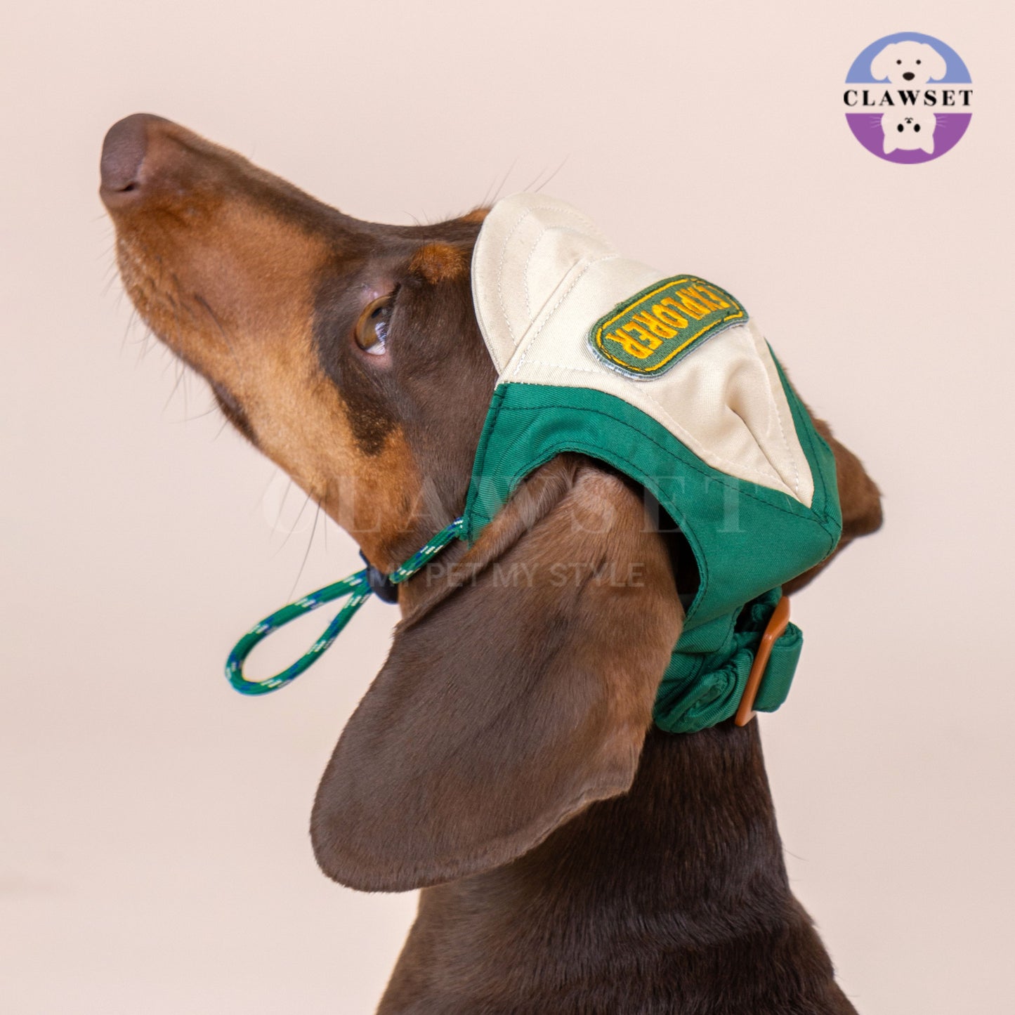 Clawset - Pet Hat - Scout Collection (Topi Hewan Peliharaan) - Explorer Green
