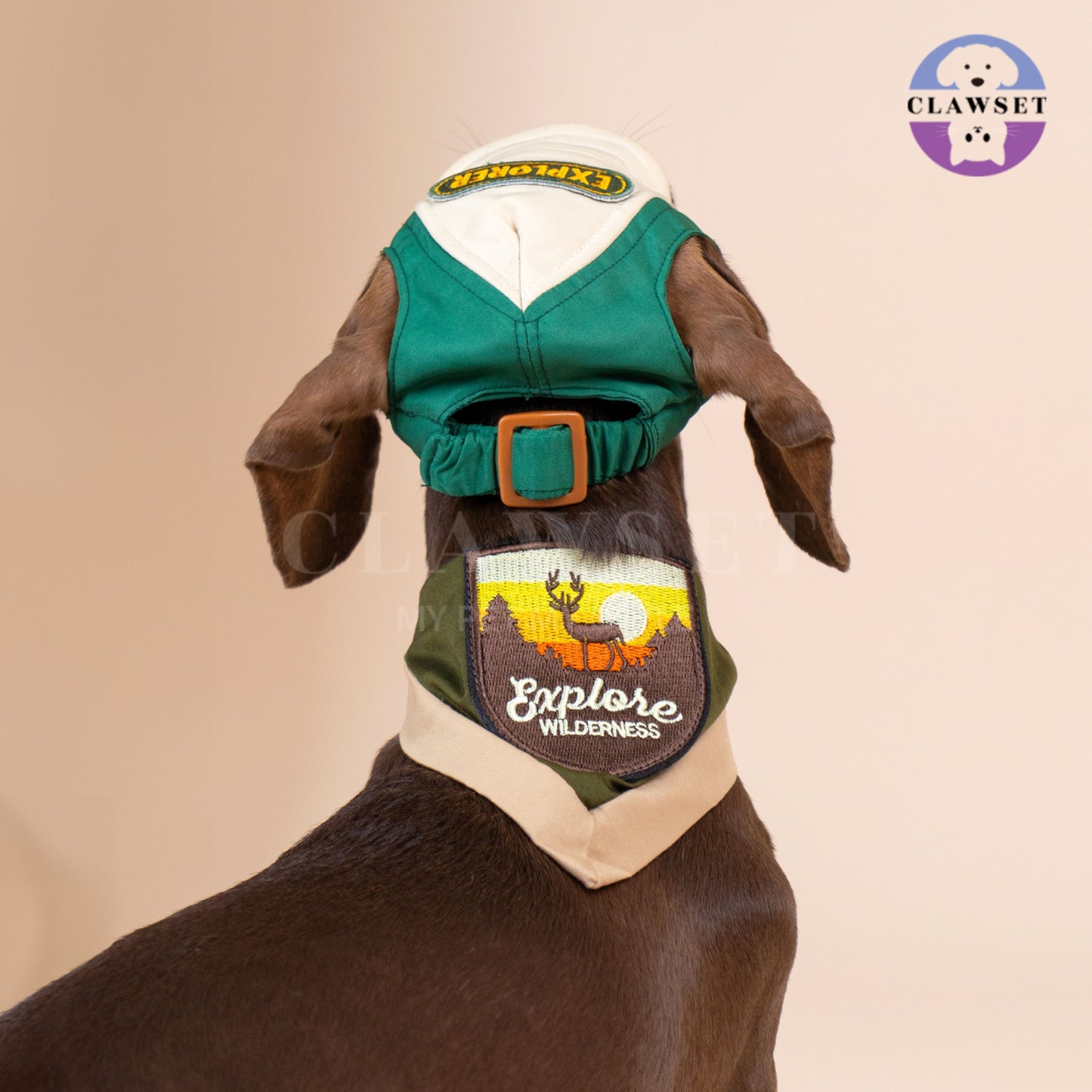 Clawset - Pet Hat - Scout Collection (Topi Hewan Peliharaan) - Explorer Green