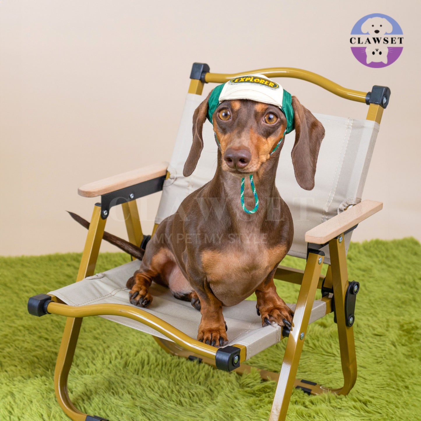 Clawset - Pet Hat - Scout Collection (Topi Hewan Peliharaan) - Explorer Green