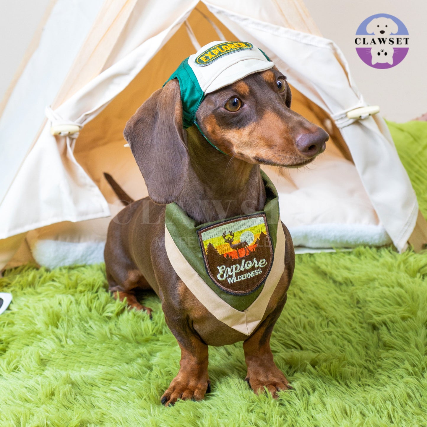 Clawset - Pet Hat - Scout Collection (Topi Hewan Peliharaan) - Explorer Green