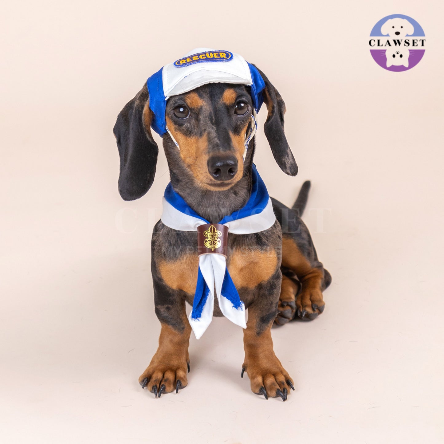 Clawset - Pet Hat - Scout Collection (Topi Hewan Peliharaan) - Rescuer Navy