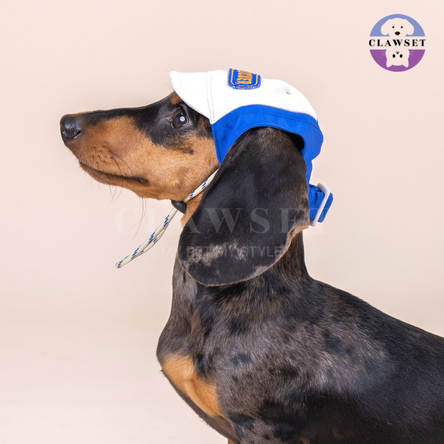 Clawset - Pet Hat - Scout Collection (Topi Hewan Peliharaan) - Rescuer Navy