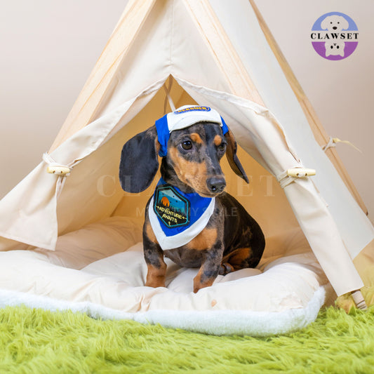 Clawset - Pet Hat - Scout Collection (Topi Hewan Peliharaan) - Rescuer Navy