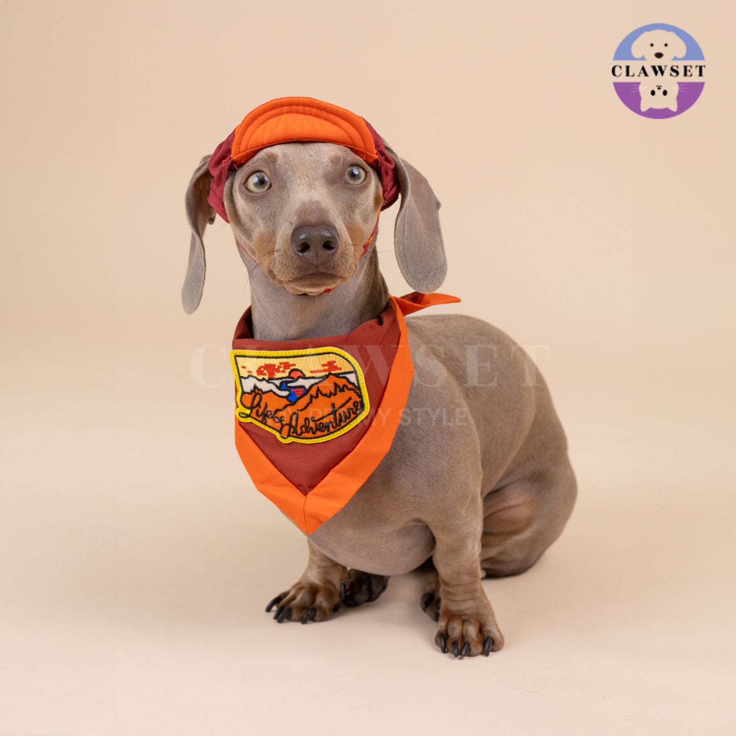 Clawset - Pet Hat - Scout Collection (Topi Hewan Peliharaan) - Leader Red