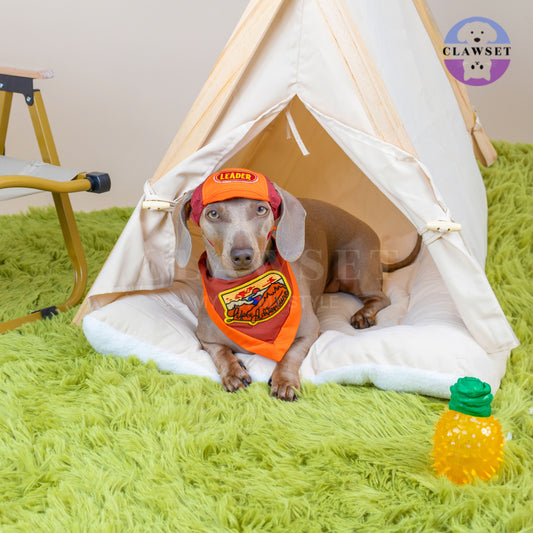 Clawset - Pet Hat - Scout Collection (Topi Hewan Peliharaan) - Leader Red