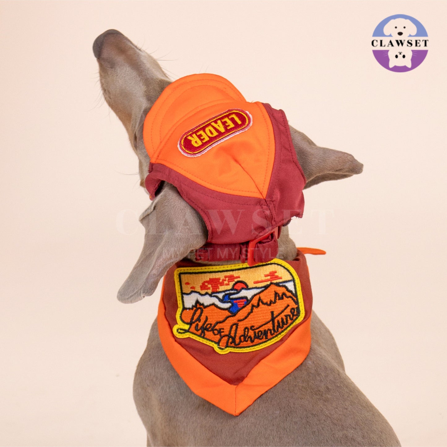 Clawset - Pet Hat - Scout Collection (Topi Hewan Peliharaan) - Leader Red