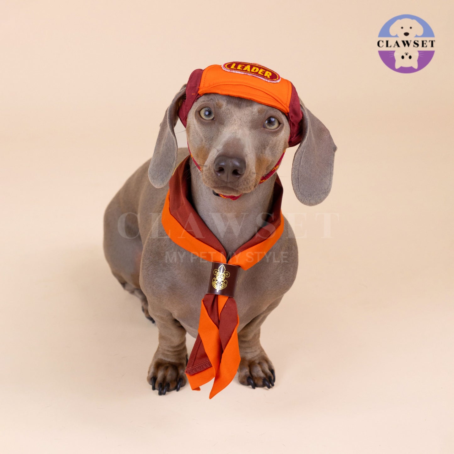 Clawset - Pet Hat - Scout Collection (Topi Hewan Peliharaan) - Leader Red