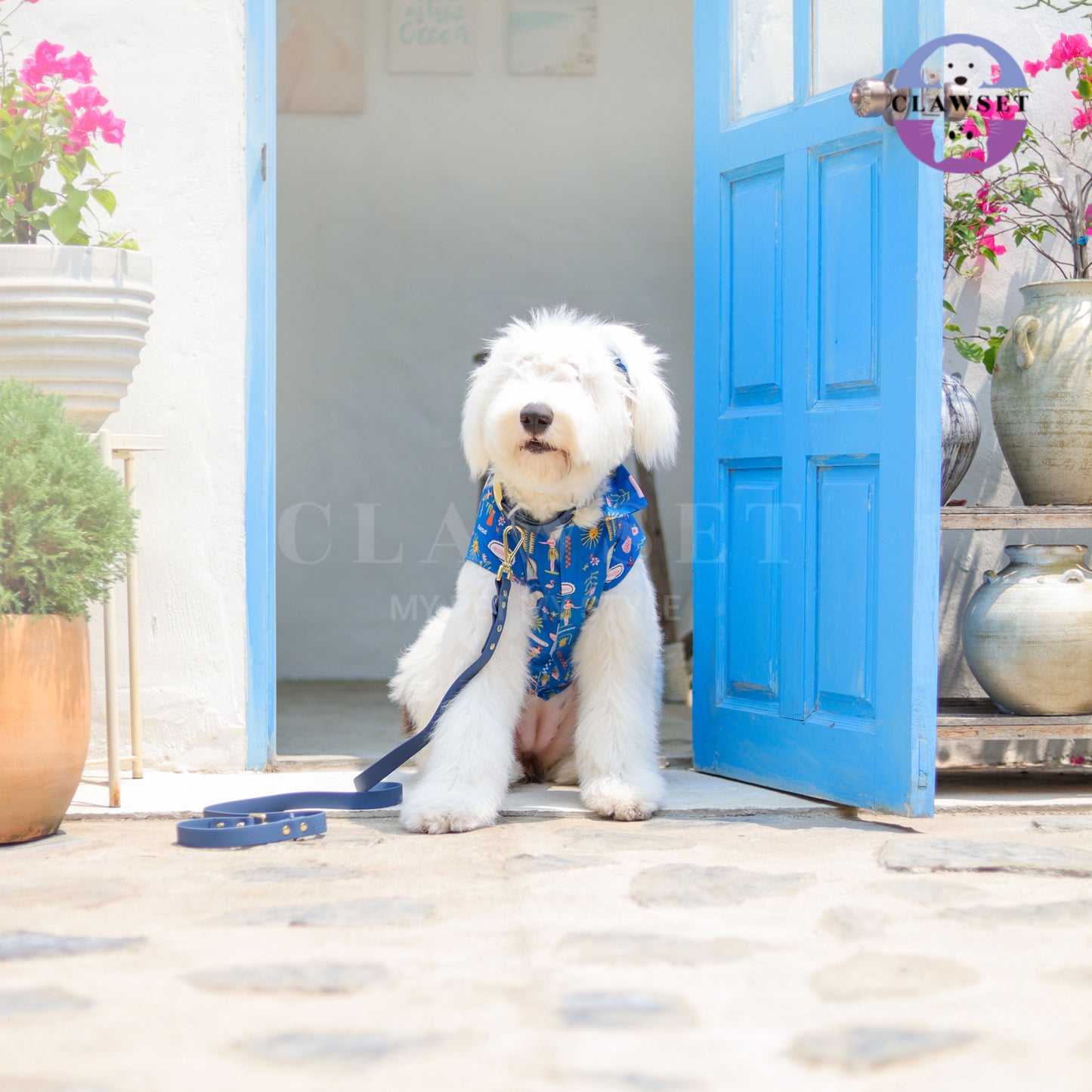 Clawset - Pet Shirt (Baju Anjing & Kucing) - Aloha Summer - Harbour Blue