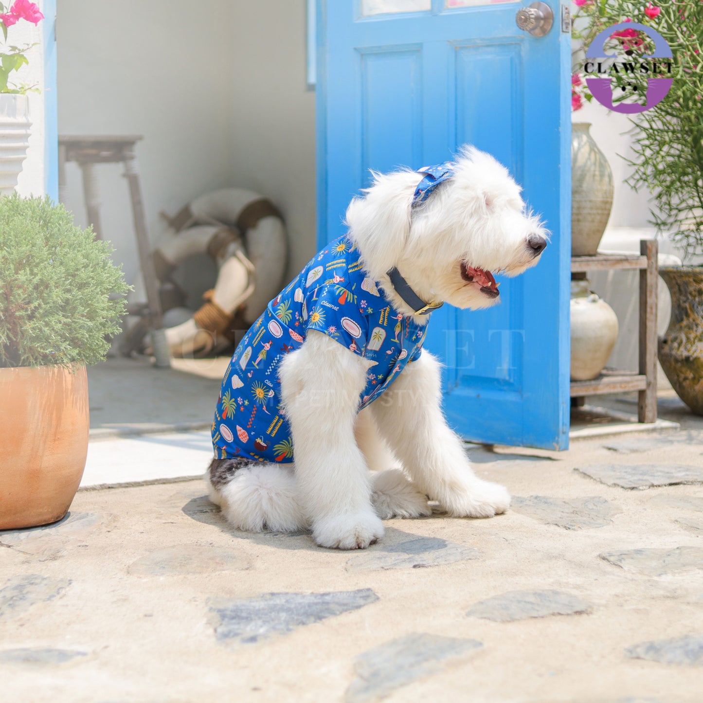 Clawset - Pet Bucket Hat (Topi Anjing & Kucing) - Aloha Summer - Harbour Blue