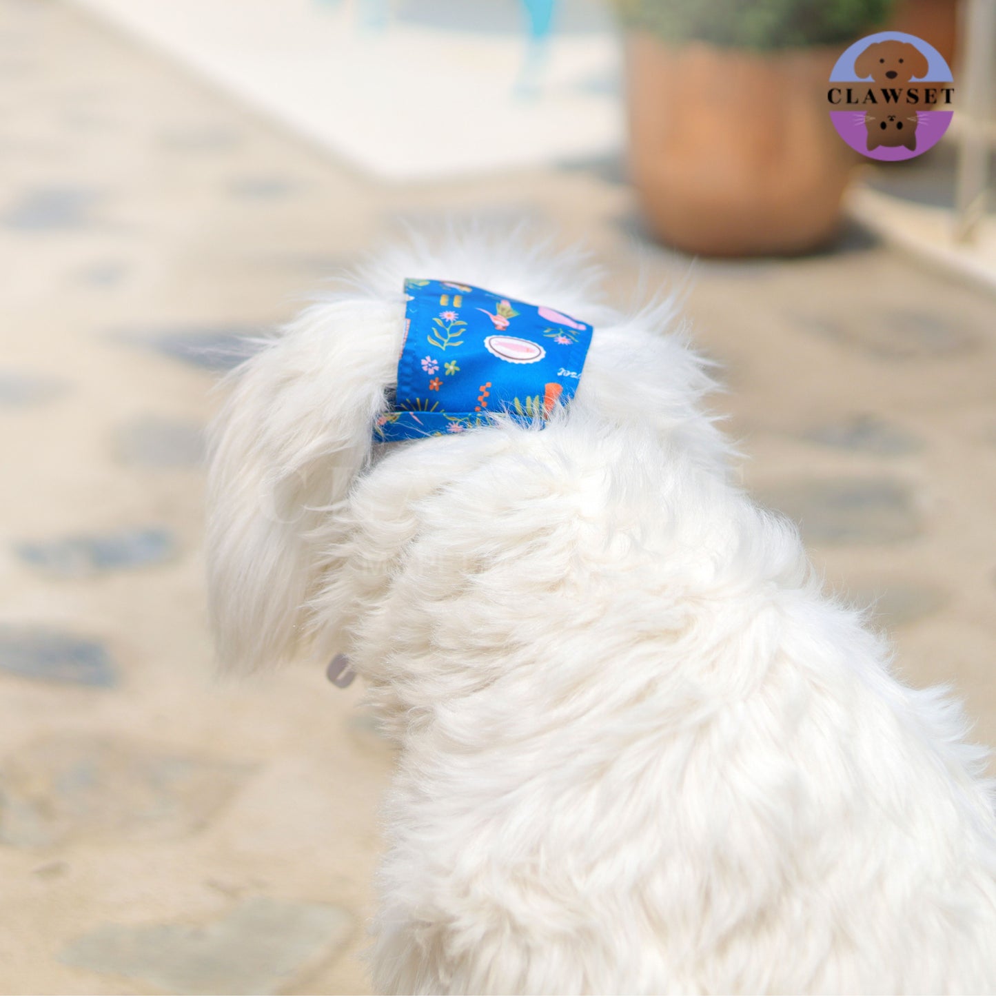 Clawset - Pet Bucket Hat (Topi Anjing & Kucing) - Aloha Summer - Harbour Blue