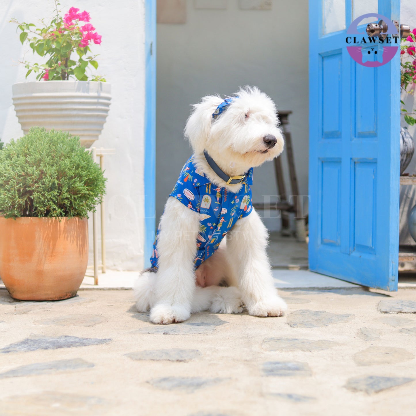 Clawset - Pet Bucket Hat (Topi Anjing & Kucing) - Aloha Summer - Harbour Blue