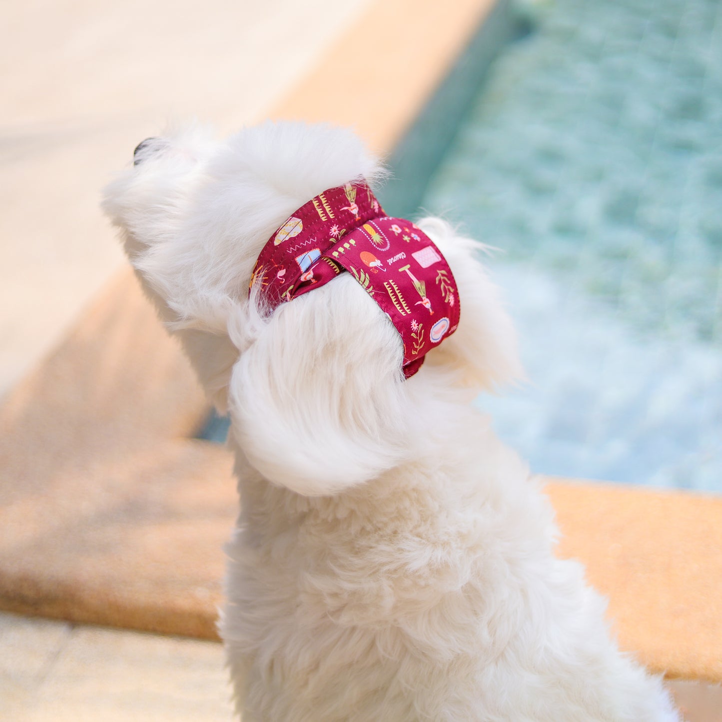 Clawset - Pet Bucket Hat (Topi Anjing & Kucing) - Aloha Summer - Maroon Red