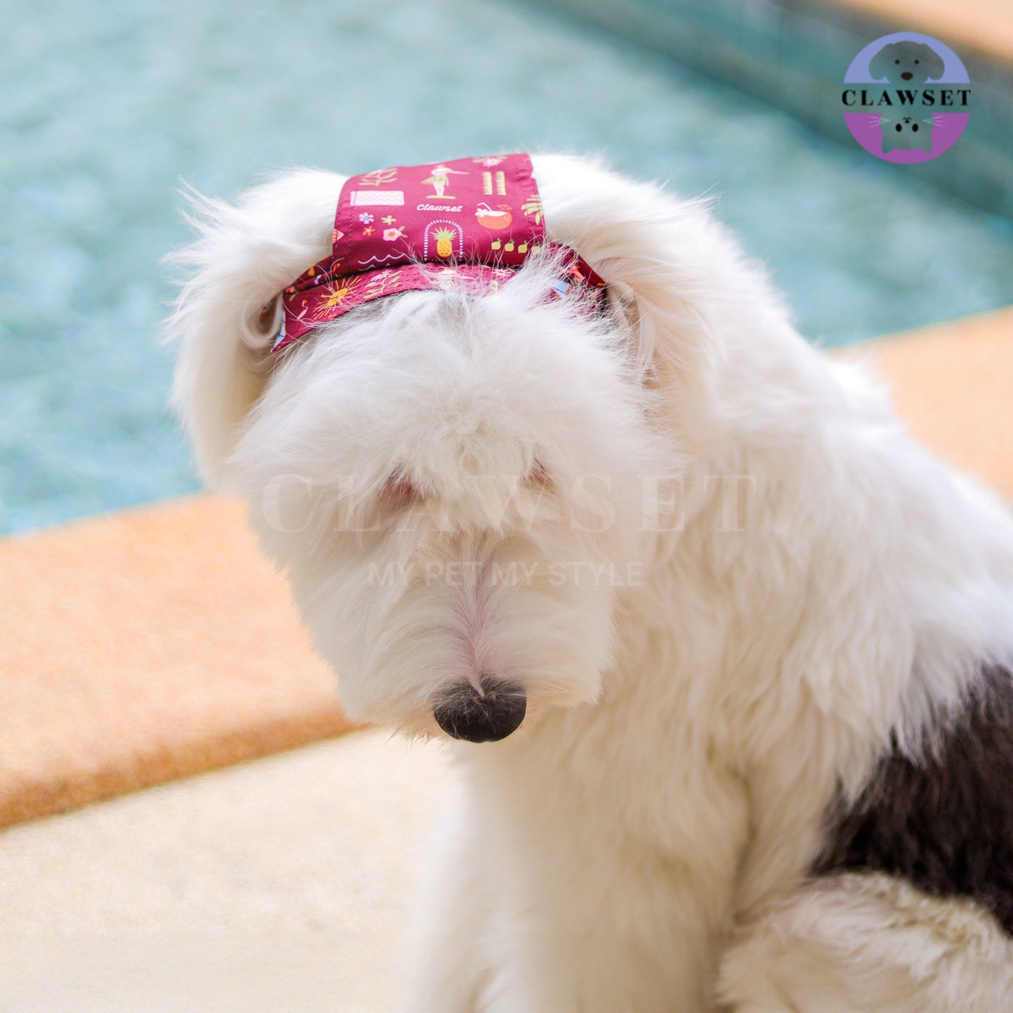 Clawset - Pet Bucket Hat (Topi Anjing & Kucing) - Aloha Summer - Maroon Red