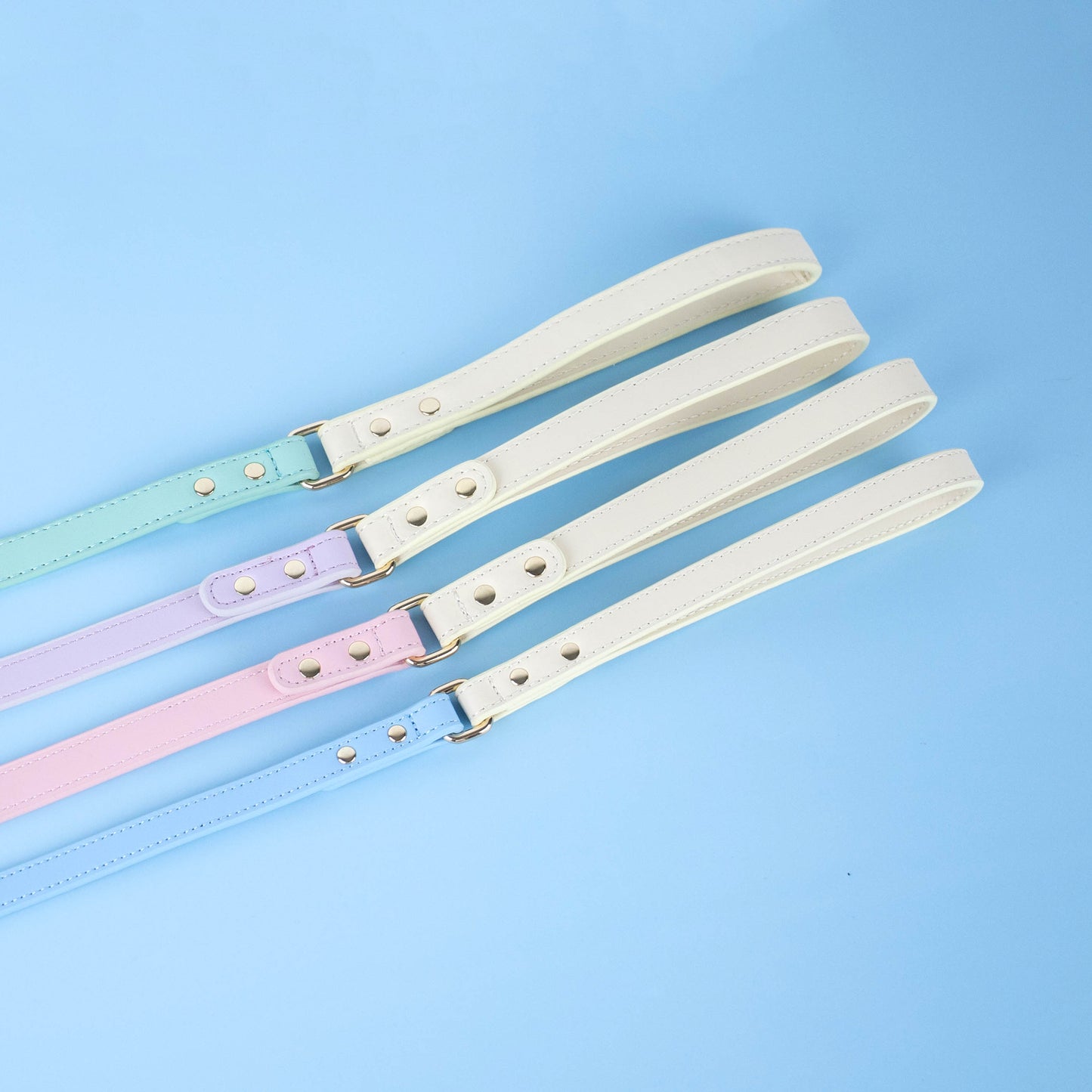 Clawset - Pet Accessories - Walking Leash - Blue (Biru)