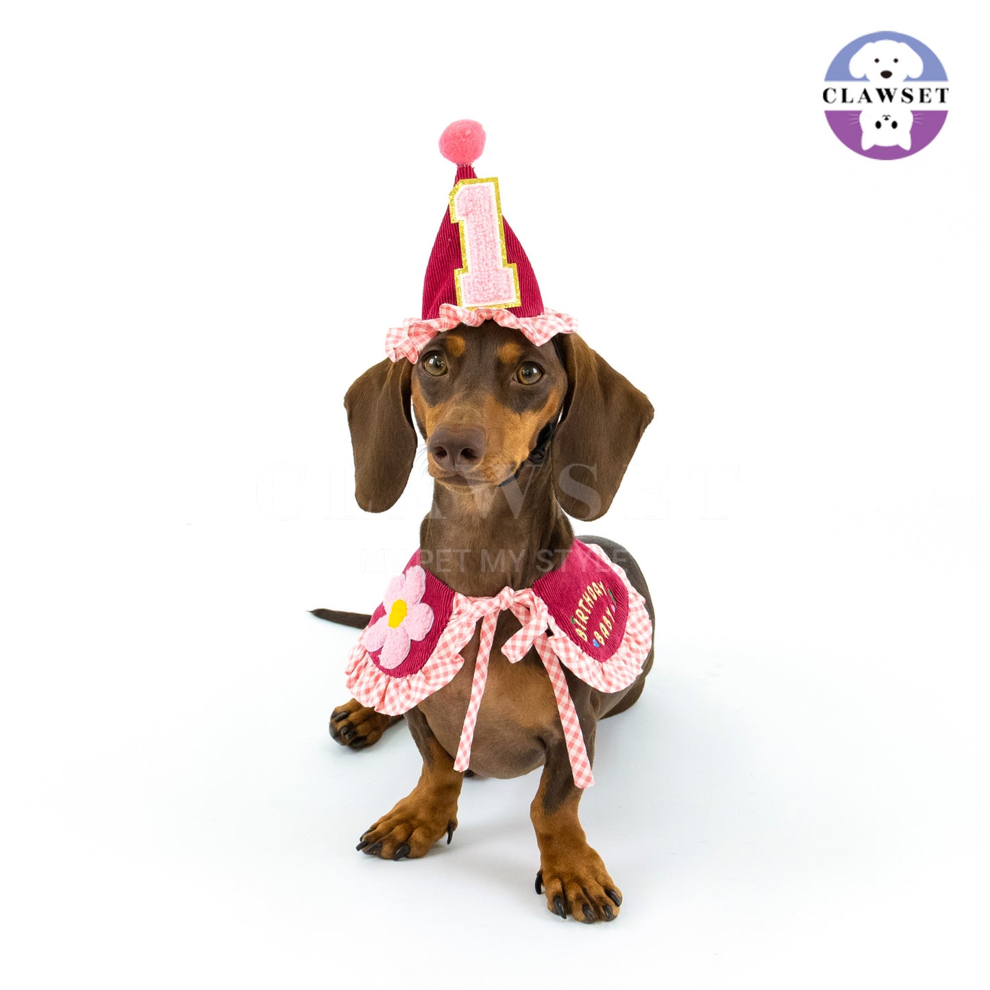 Clawset - Pet Accessories - Birthday Hat (Topi Ulang Tahun) - Pink