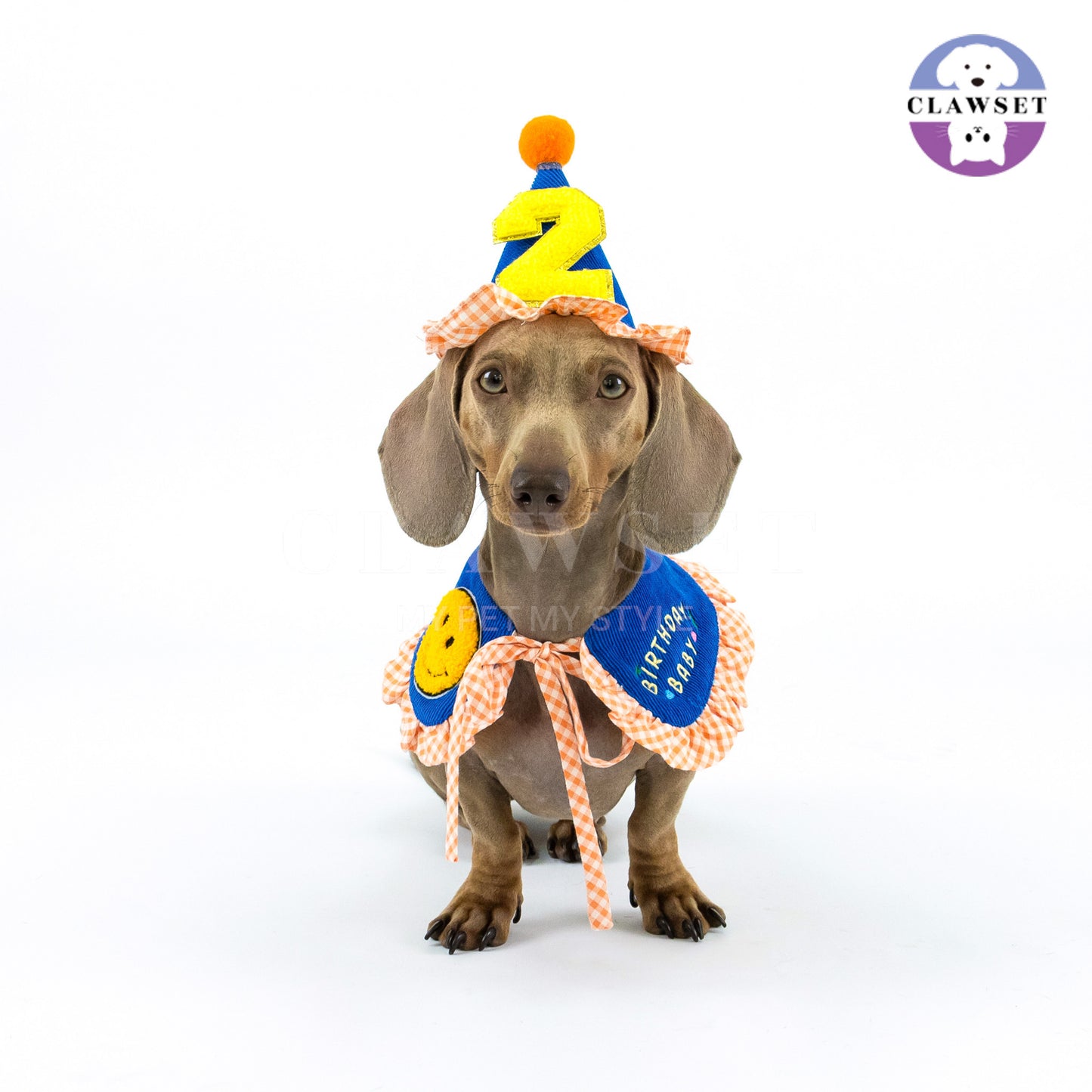 Clawset - Pet Accessories - Birthday Hat (Topi Ulang Tahun) - Blue (Biru)