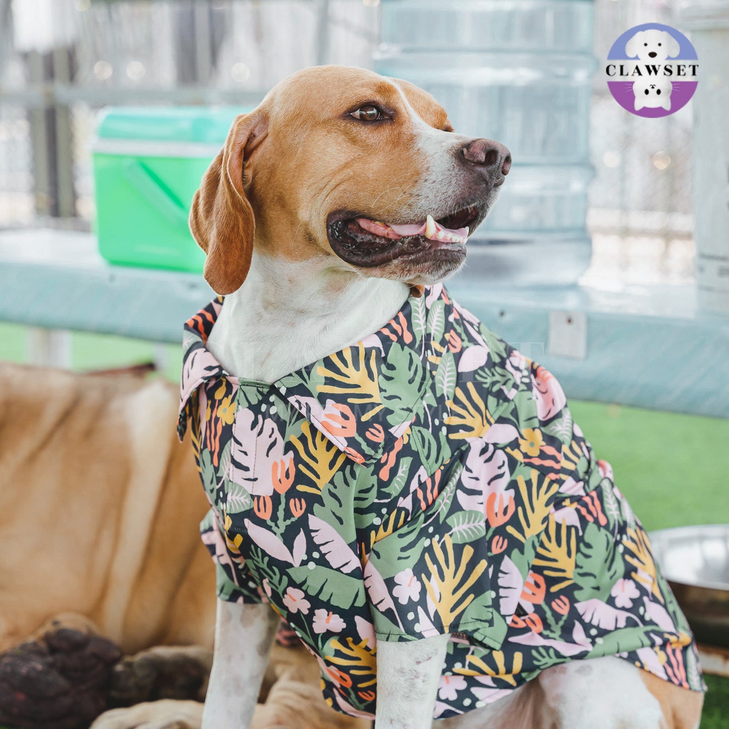Clawset - Pet Fashion - Hawaii Happy Paradise - Navy Blue