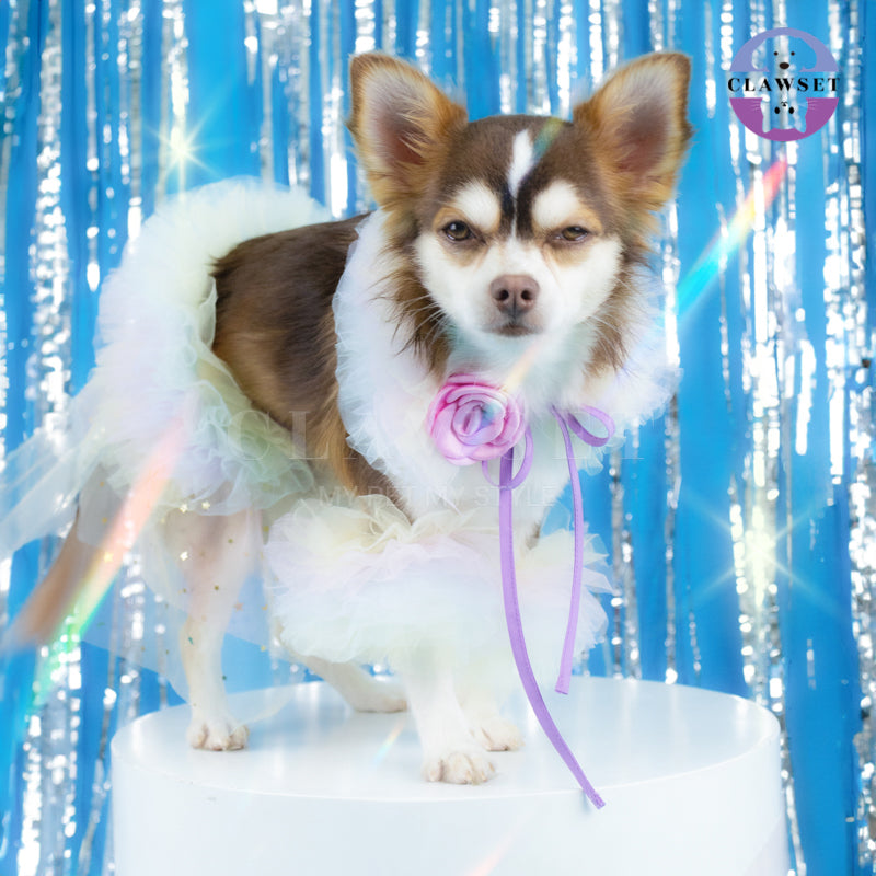 Clawset - Pet Fashion - Dreamland Collection - Lollipop Set