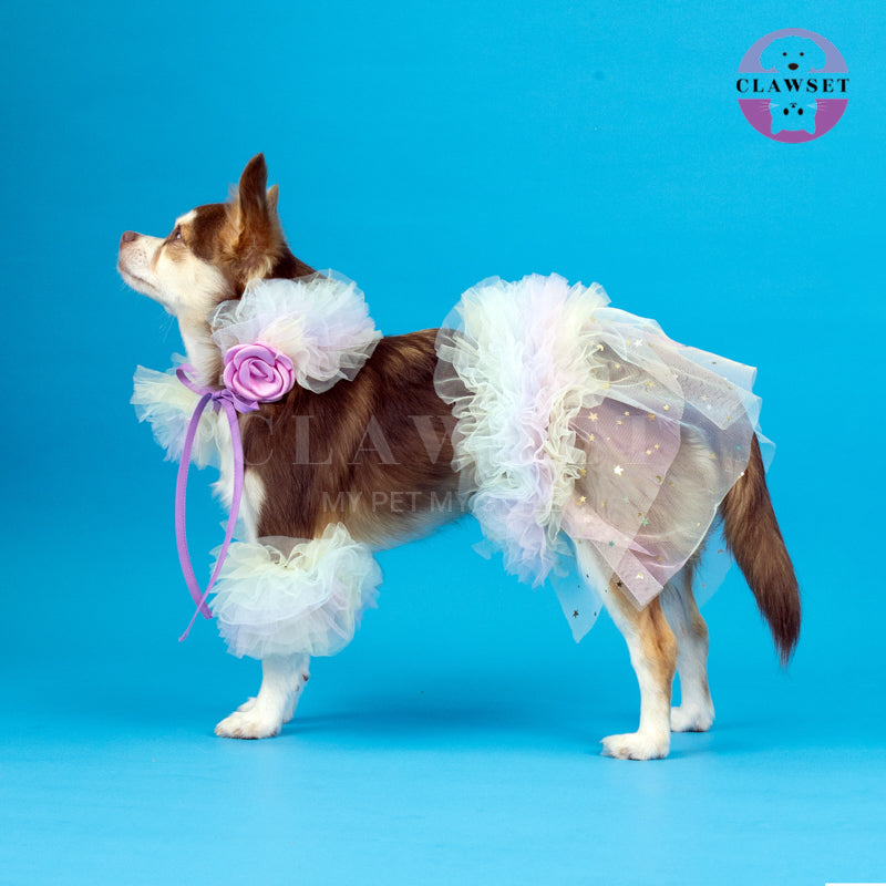 Clawset - Pet Fashion - Dreamland Collection - Lollipop Set