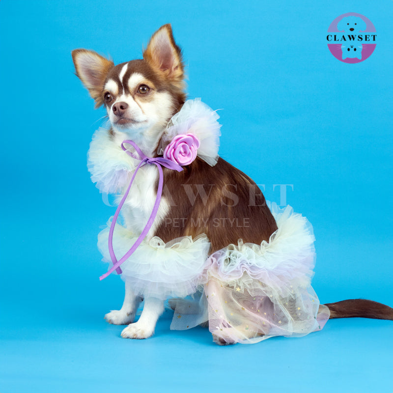 Clawset - Pet Fashion - Dreamland Collection - Lollipop Set