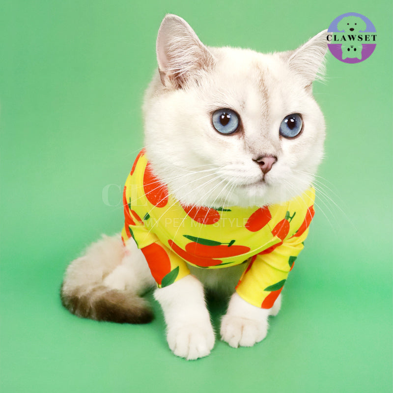 Clawset - Pet Fashion - Protection Suit - Fruity Collection - Orange (Jeruk)