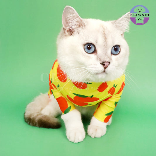 Clawset - Pet Fashion - Protection Suit - Fruity Collection - Orange (Jeruk)