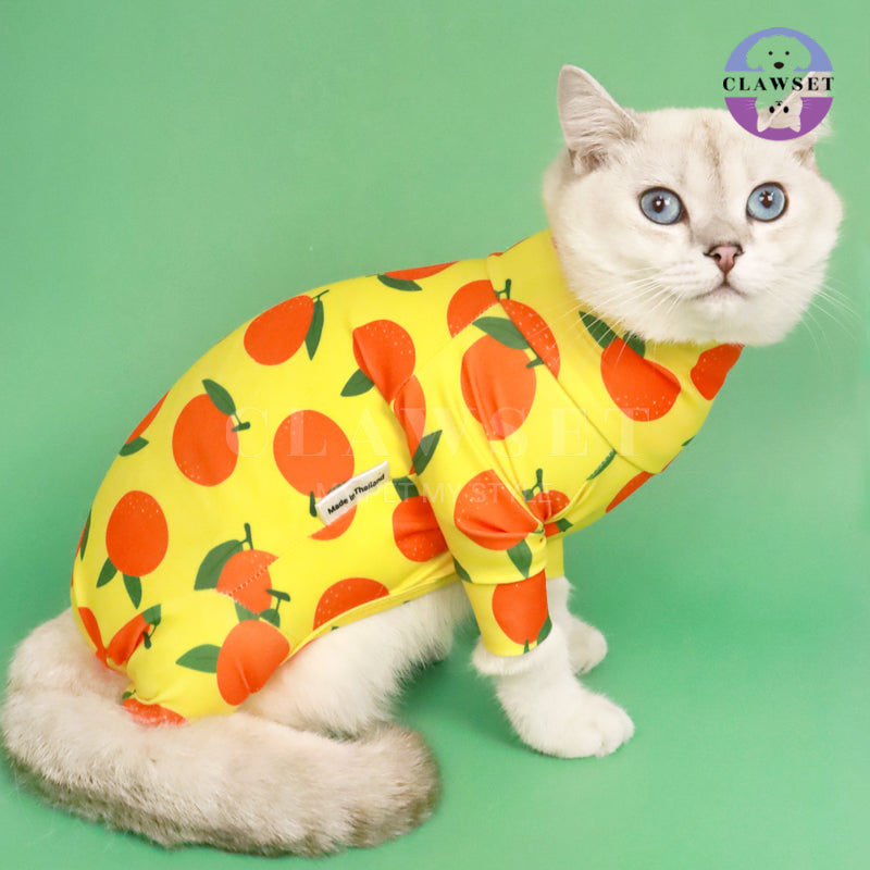 Clawset - Pet Fashion - Protection Suit - Fruity Collection - Orange (Jeruk)