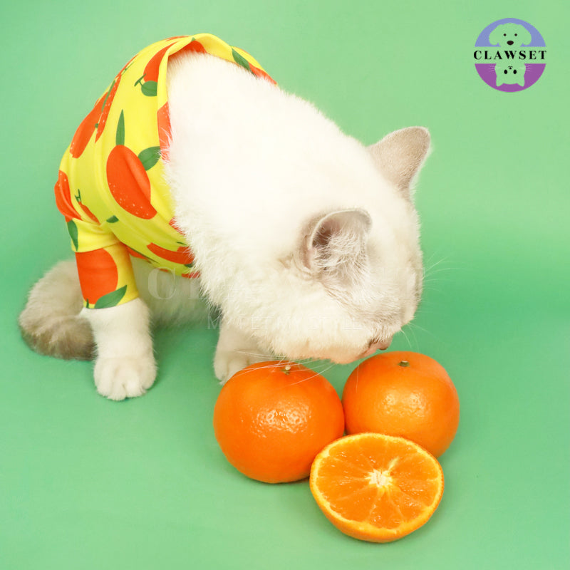 Clawset - Pet Fashion - Protection Suit - Fruity Collection - Orange (Jeruk)