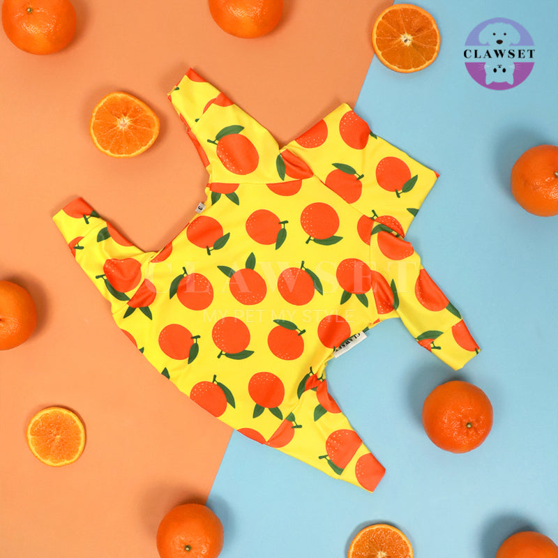 Clawset - Pet Fashion - Protection Suit - Fruity Collection - Orange (Jeruk)