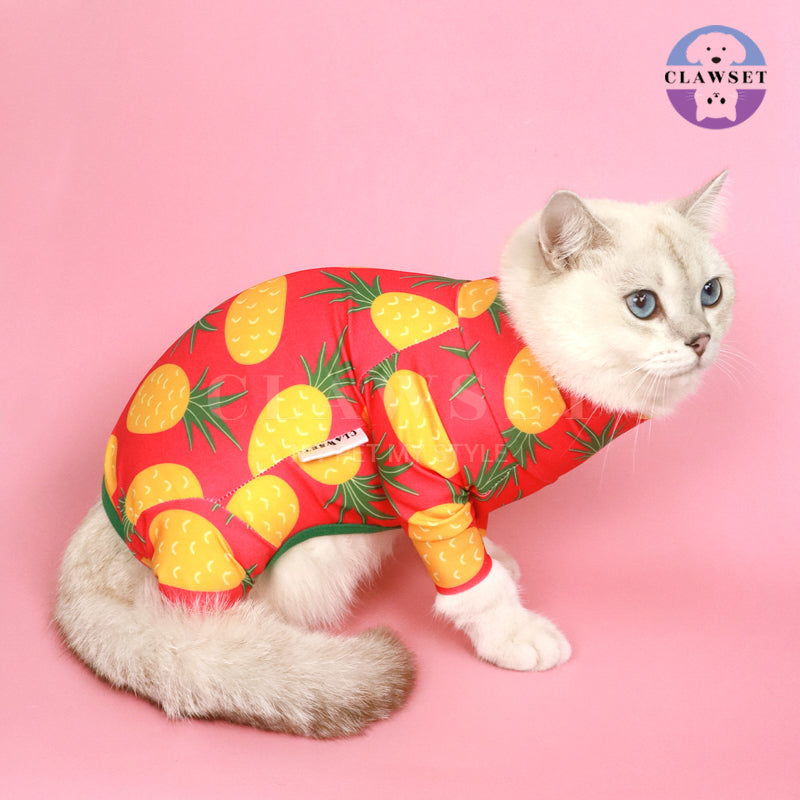 Clawset - Pet Fashion - Protection Suit - Fruity Collection - Pineapple (Nanas)