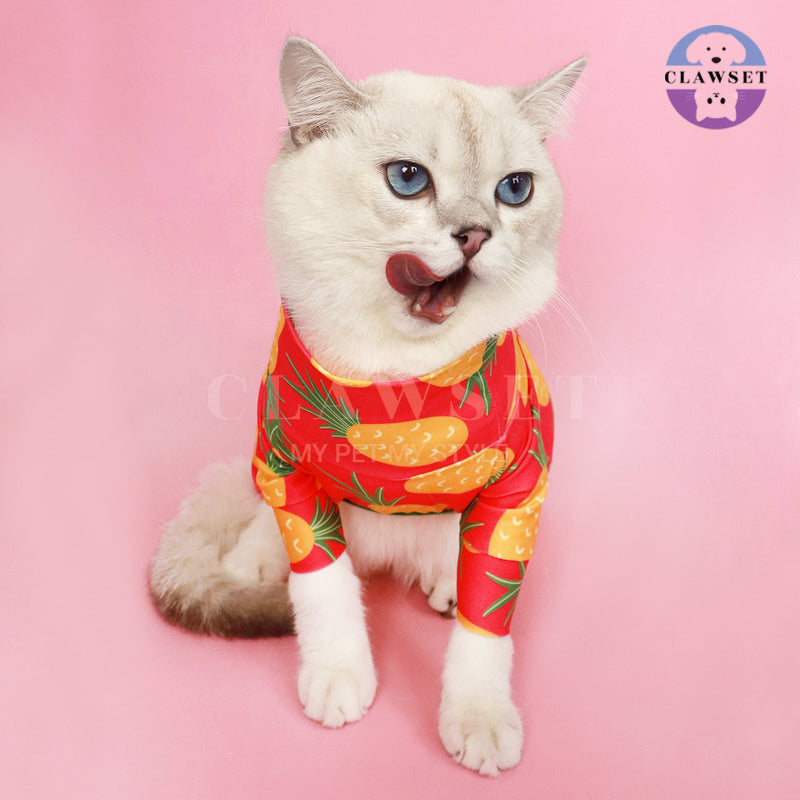 Clawset - Pet Fashion - Protection Suit - Fruity Collection - Pineapple (Nanas)