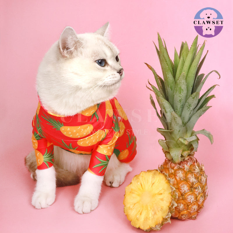 Clawset - Pet Fashion - Protection Suit - Fruity Collection - Pineapple (Nanas)