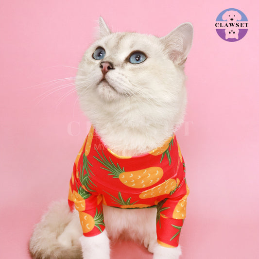 Clawset - Pet Fashion - Protection Suit - Fruity Collection - Pineapple (Nanas)