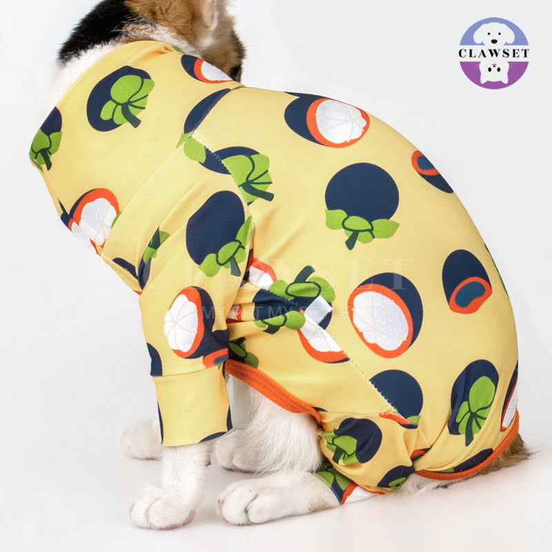 Clawset - Pet Fashion - Protection Suit - Fruity Collection - Mangosteen (Manggis)
