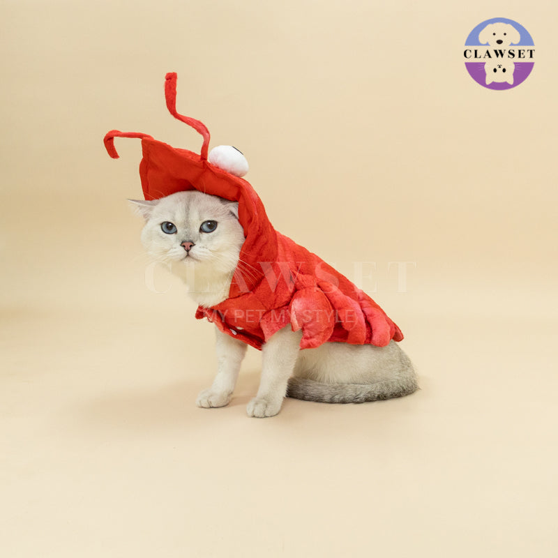 Clawset - Pet Fashion - Fancy Collection - Cool Lobster