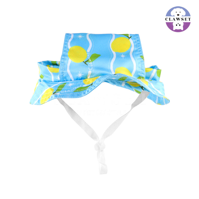 Clawset - Pet Hat - Italian Summer - Lemon Blue