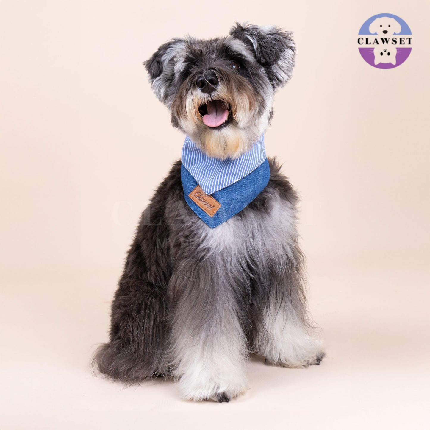 Clawset - Denim Collection - Pet Scarf - Stripe Blue