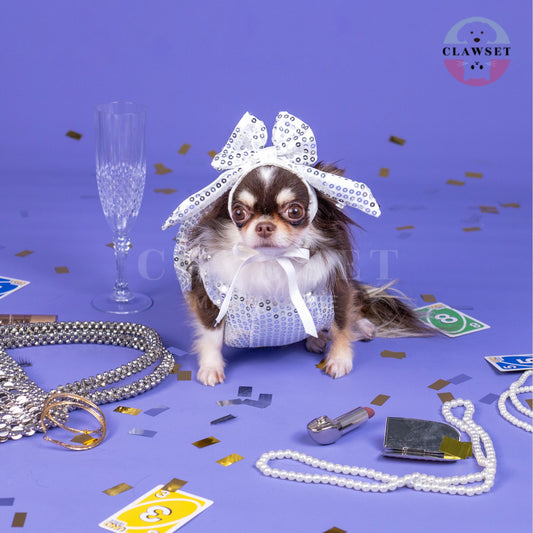 Clawset - Pet Costume - After Party - Disco Ball Silver