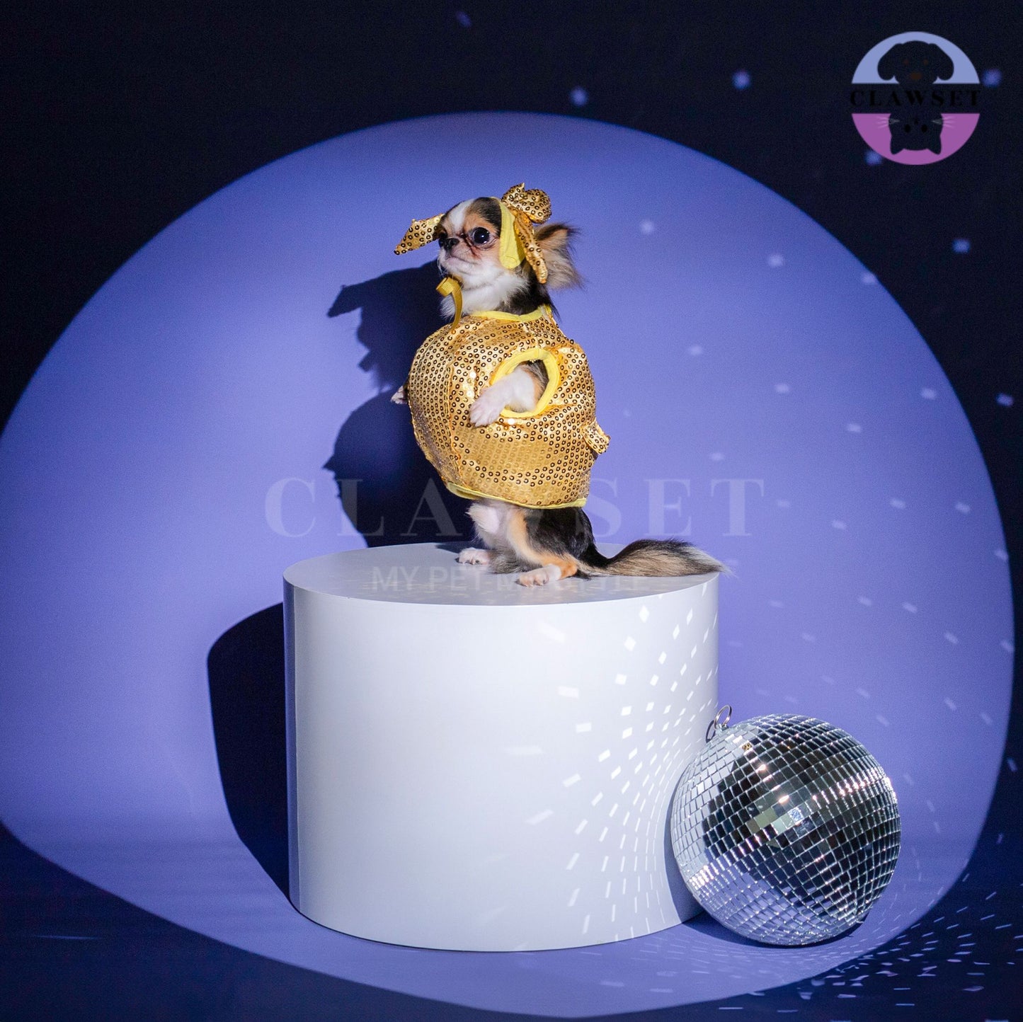 Clawset - Pet Costume - After Party - Disco Ball Gold